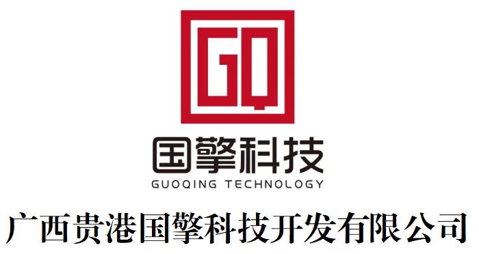 广西贵港国擎科技开发有限公司